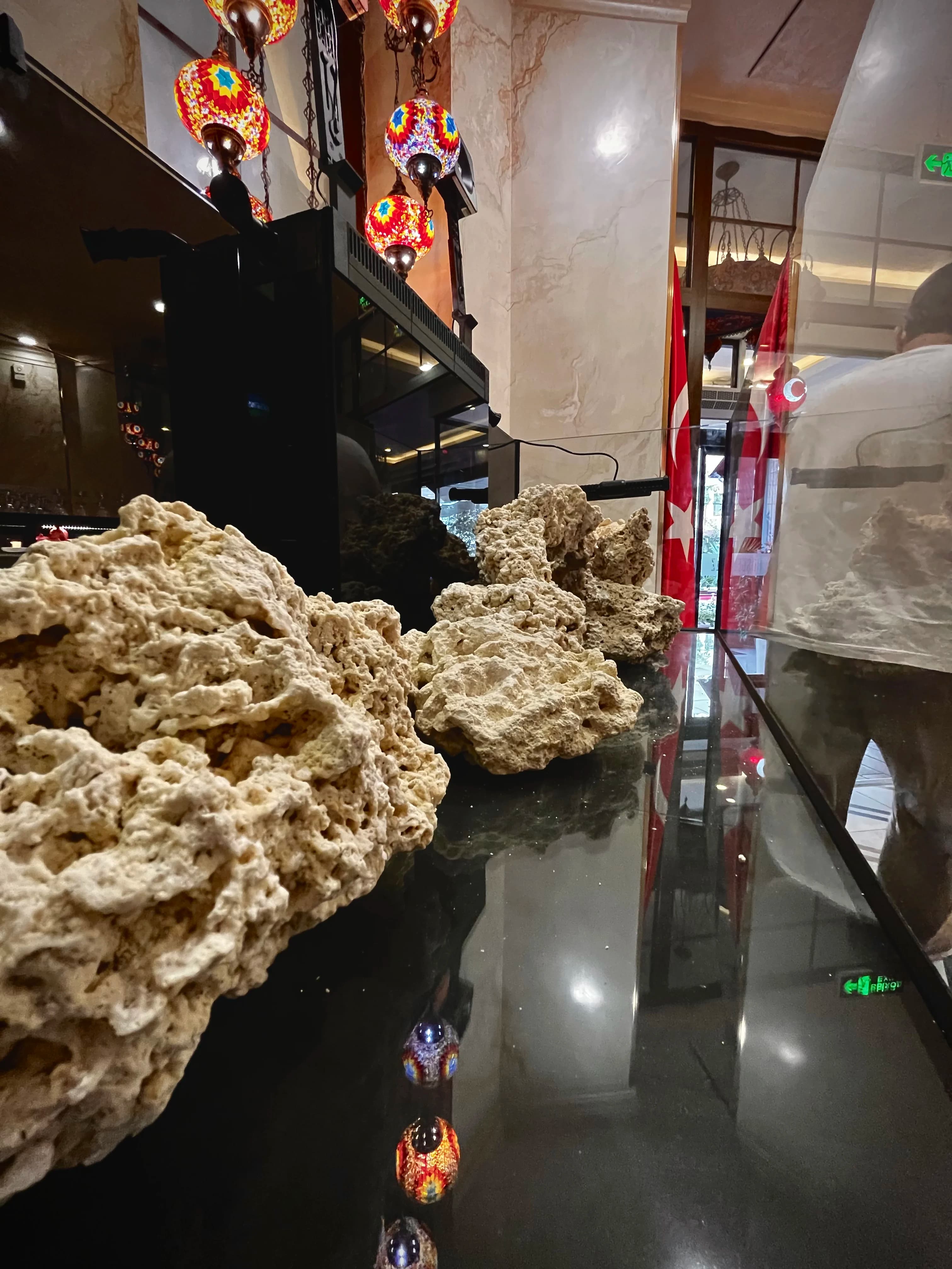 Baliqlarni qanchalik tez-tez ovqatlantirish kerak?