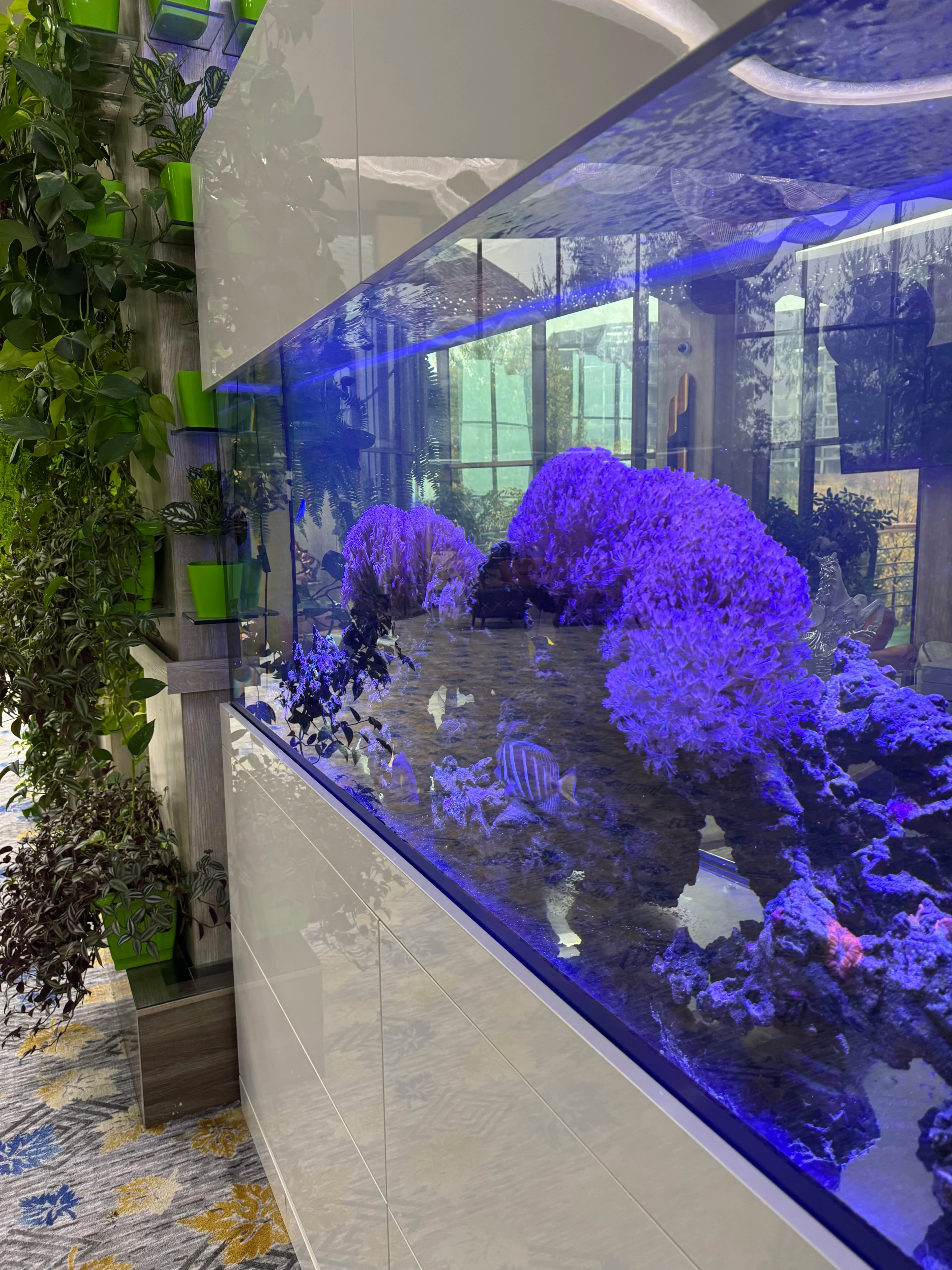 Zamonaviy va uslubli dengiz akvariumi, tibbiy maskan uchun qulay muhit yaratadi