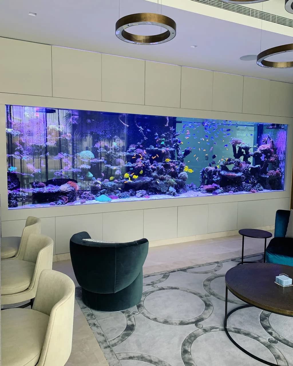 Yorqin dengiz akvariumi - okeanni uyingizga olib kiradi